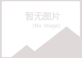 碾子山区夏青采矿有限公司